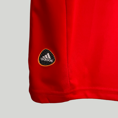 Spain 2010 Home Jersey - World Cup Winners