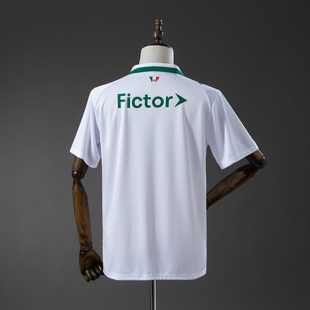 Palmeiras 2026 Away Jersey